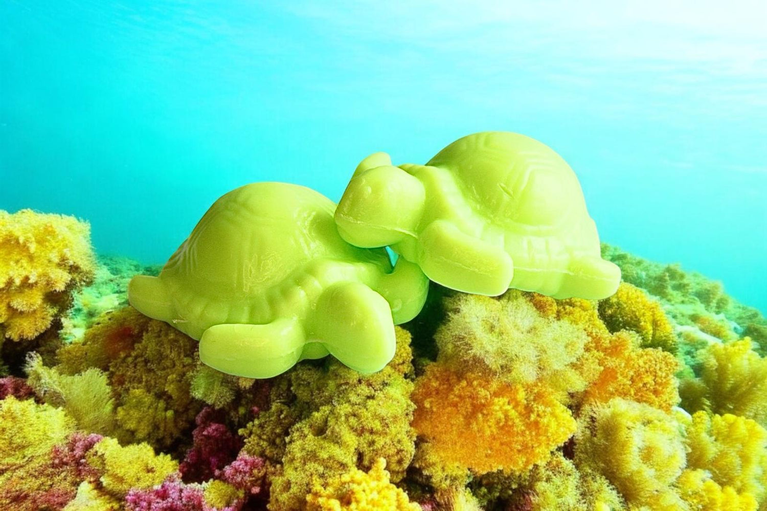 Petit savon de forme originale