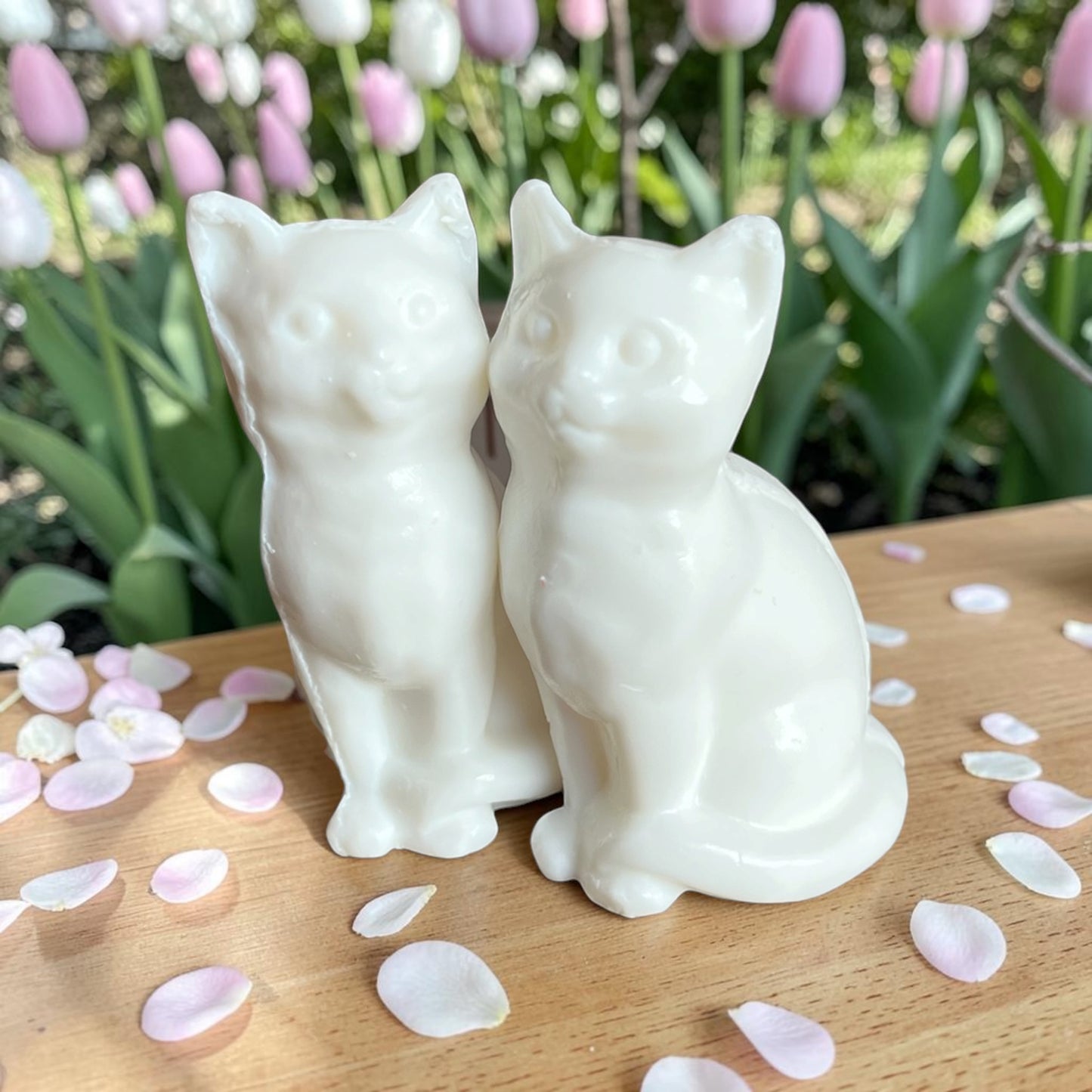Savon chat